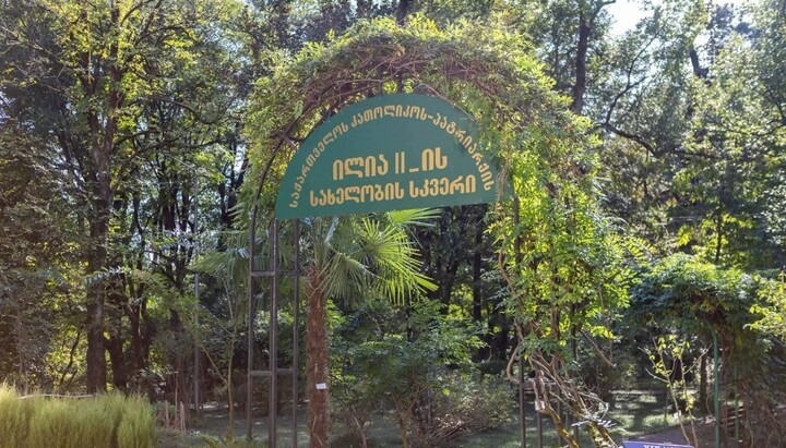 ილია II -ის სახელობის სკვერი ქუთაისში. ფოტო: Kutaisi Botanical Garden